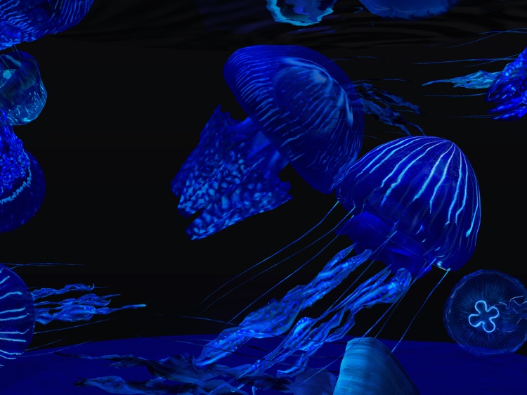 Fish Farm 4: 3D Aquarium screenshot-9