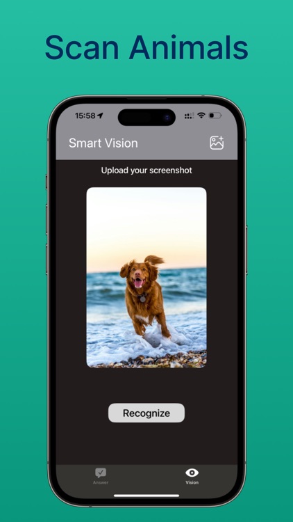 Photo ID: Image recognition screenshot-3