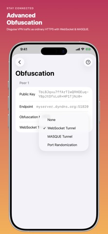 Xlarva - WireGuard VPN Client Screenshot 3 of 10