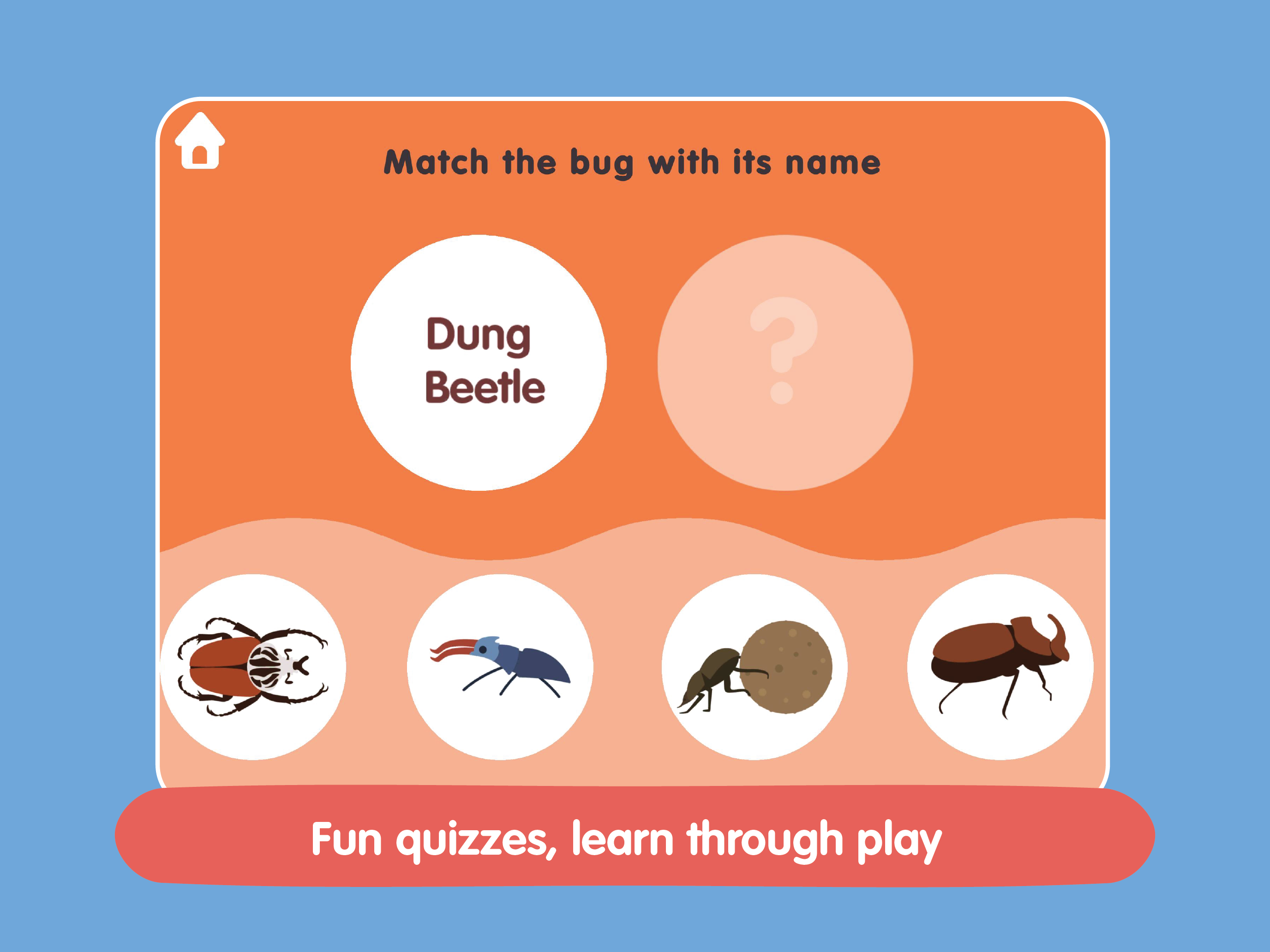 Insects and Bugs for kids screenshot 20