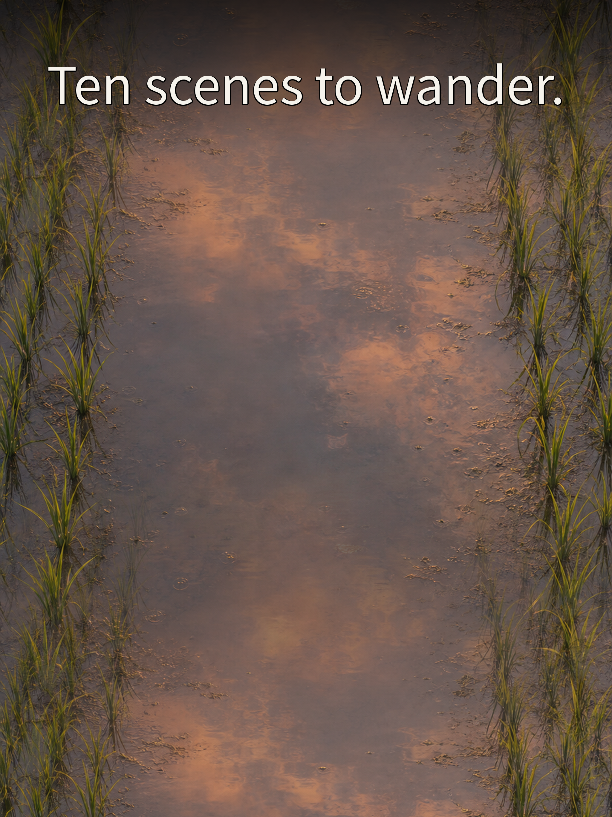 Ashimoto Zen screenshot 9