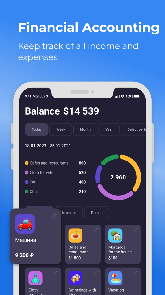 Finance: MyMoneyManager - 1.1.1 - (iOS)