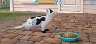 Move pets Screenshot 4 of 6