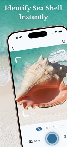 Sea Shell Identifier Collector Screenshot 1 of 7