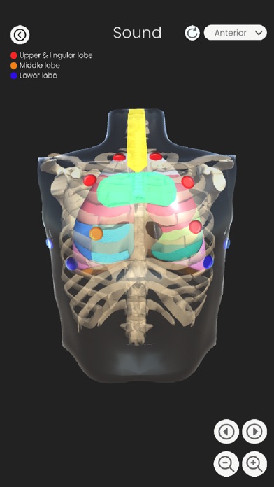 Screenshot #3 pour My Lung PT SWU