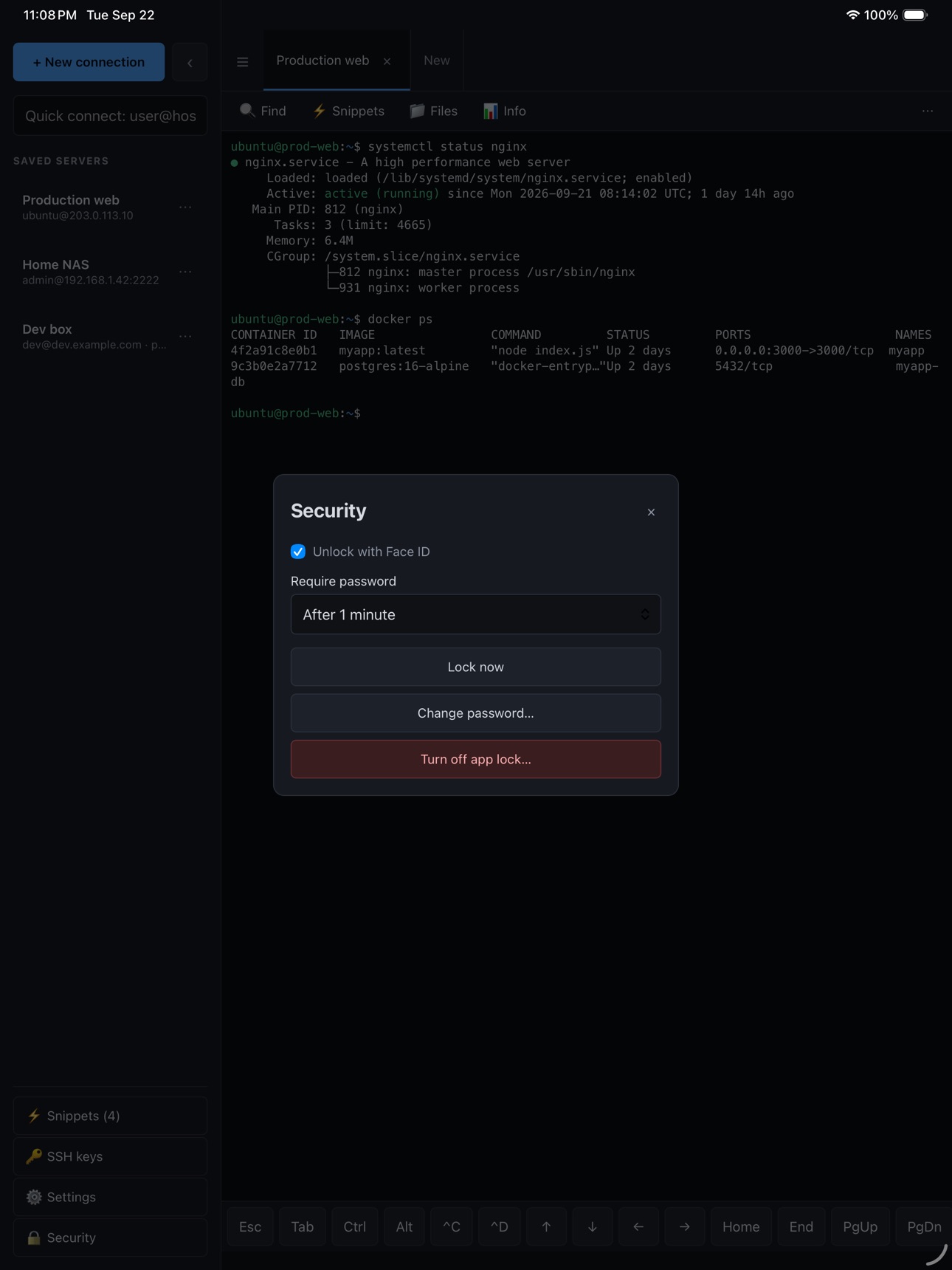 Screenshot 11 of SSH Console
