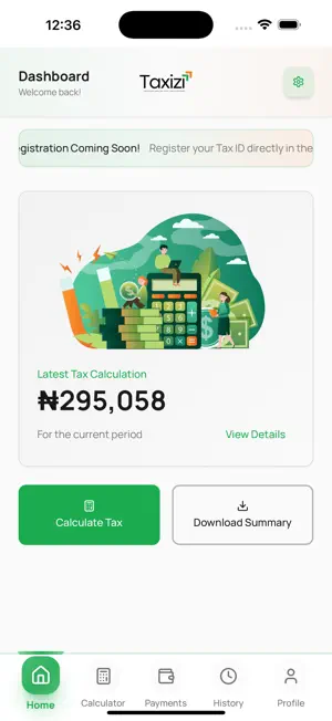 Taxizi -Nigeria Tax Calculator screenshot 4