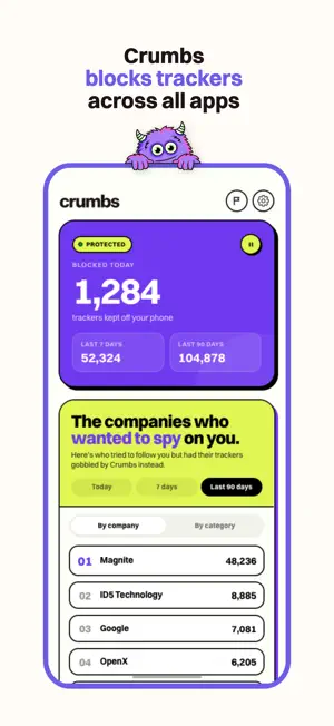 Crumbs: DNS Privacy screenshot 2