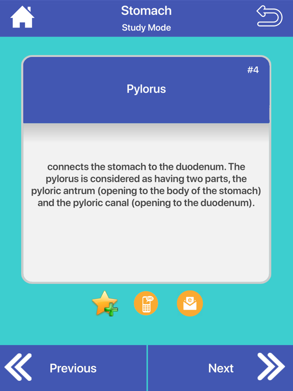 Screenshot #6 pour Digestive System Flashcards