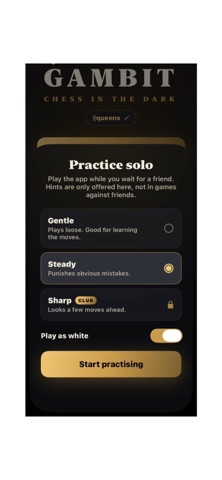 Gambit/chess Screenshot 2 of 5