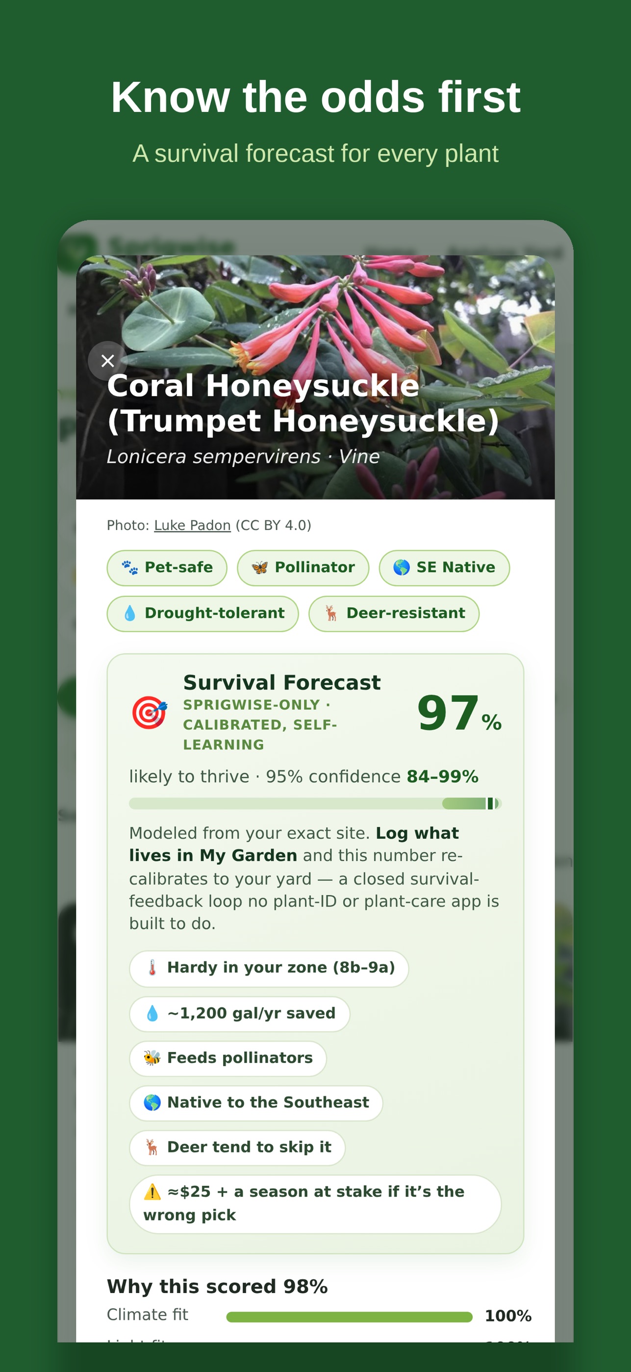 Screenshot 5 of Sprigwise: Plant Match