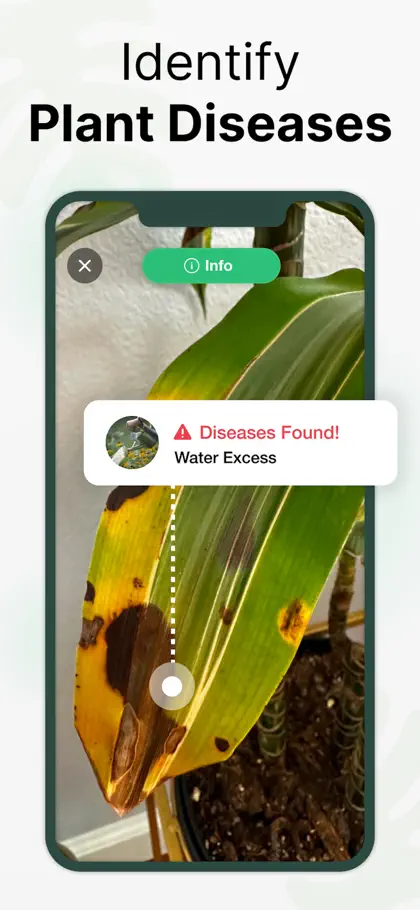Captura 3 de 6 de PlantGo: Plant Identifier・Care