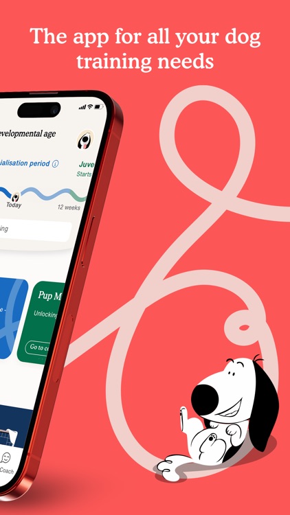 Zigzag - Dog & Puppy Training