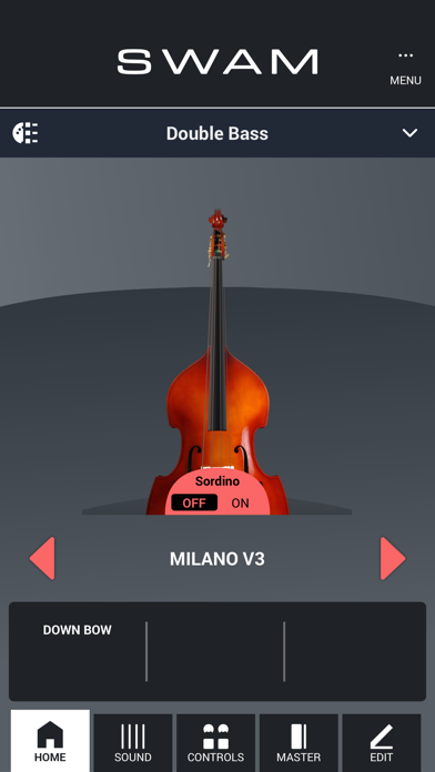 SWAM Double Bass Screenshot