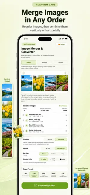 Image Merger & Converter screenshot 2