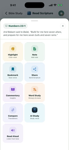 Hashtag Study Bible Screenshot 5 of 10