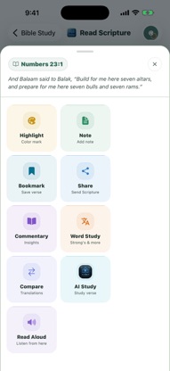 Hashtag Study Bible screenshot 5