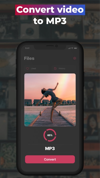 Media Converter - Video & MP3