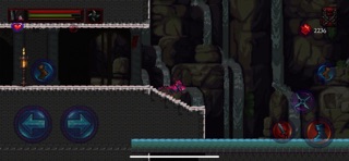 Hell Cemetery - Metroidvania iPhone screenshot