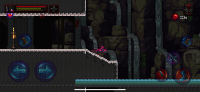Hell Cemetery - Metroidvania Screenshot 3 of 3