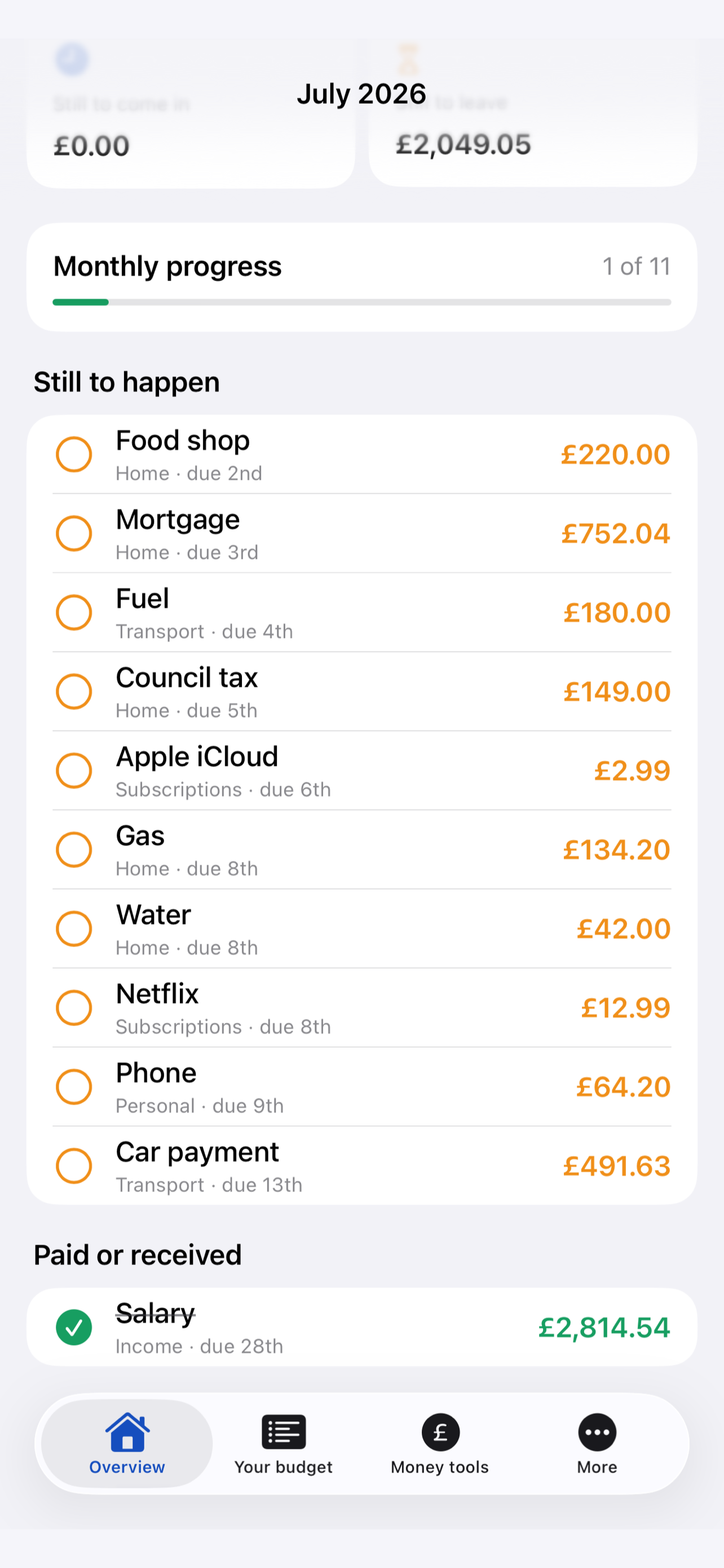 SteadyMonth screenshot 2