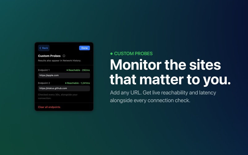 NetCheck screenshot 4