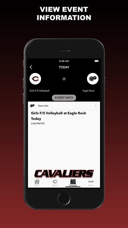 The Land Athletics screenshot-3