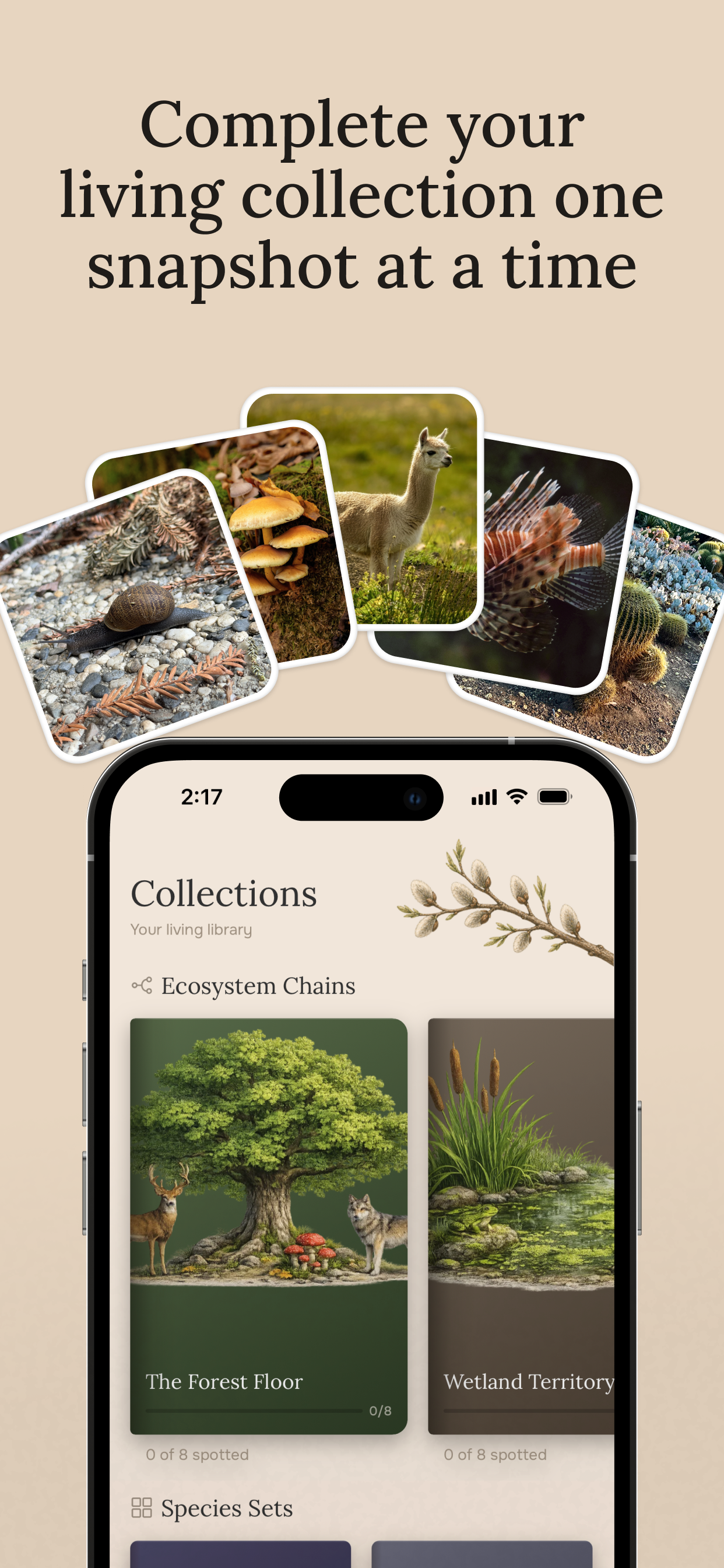 Fauna - Explore Wildlife