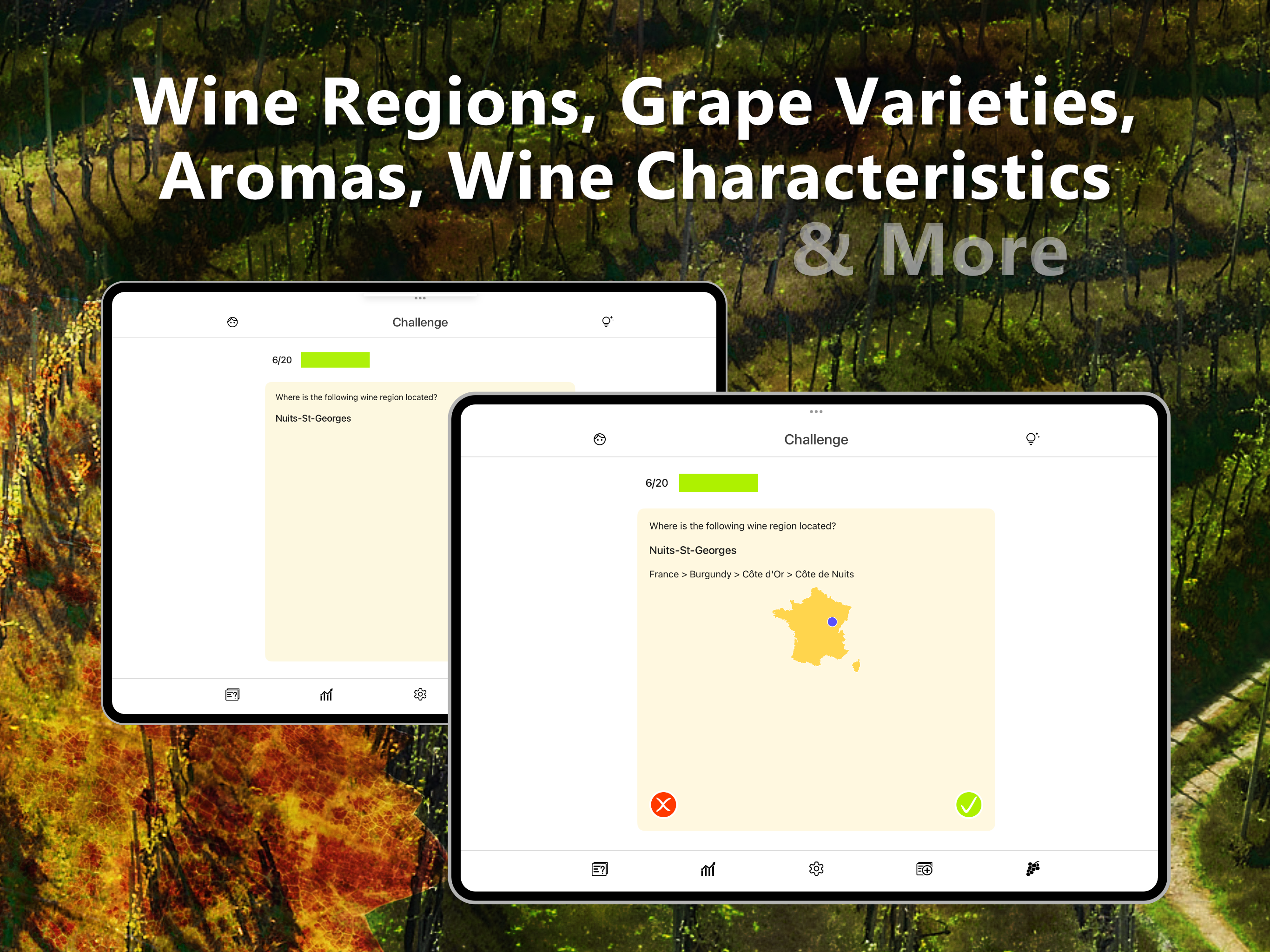Wine Trainer: WSET & Sommelier