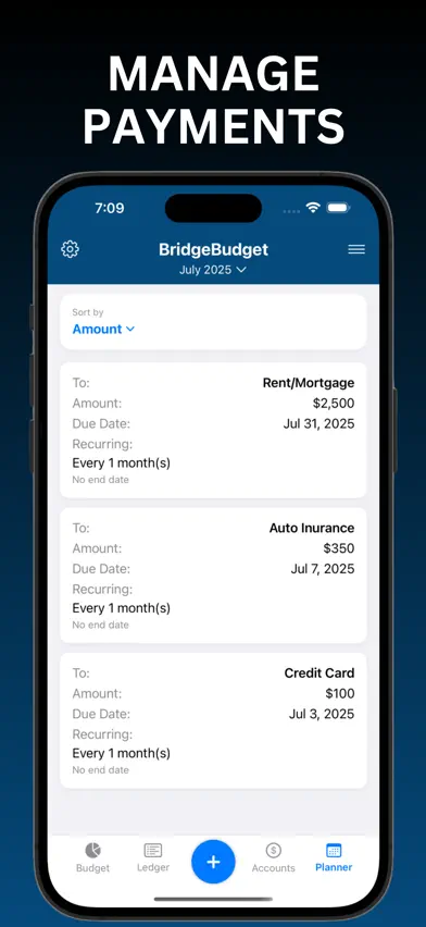 BridgeBudget screenshot 5