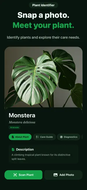 Plant Finder: Tree Scanner screenshot 1