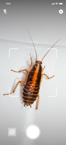 Fort Pest ID screenshot