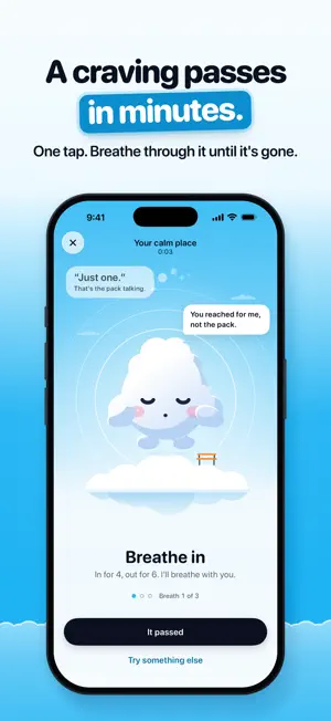 BeQuit: Quit Smoking screenshot 2