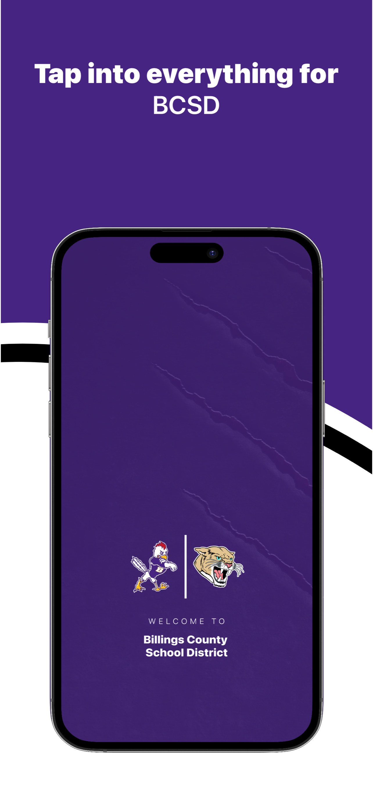 Billings County School