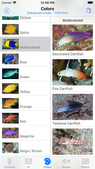 Philippines Fish ID Screenshot
