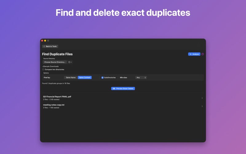 Smart File Organizer screenshot