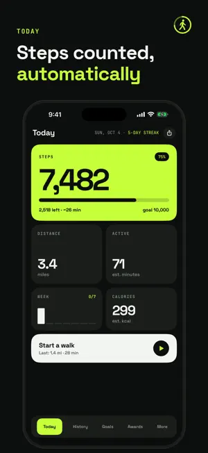 Pedometer - StepKit screenshot 1