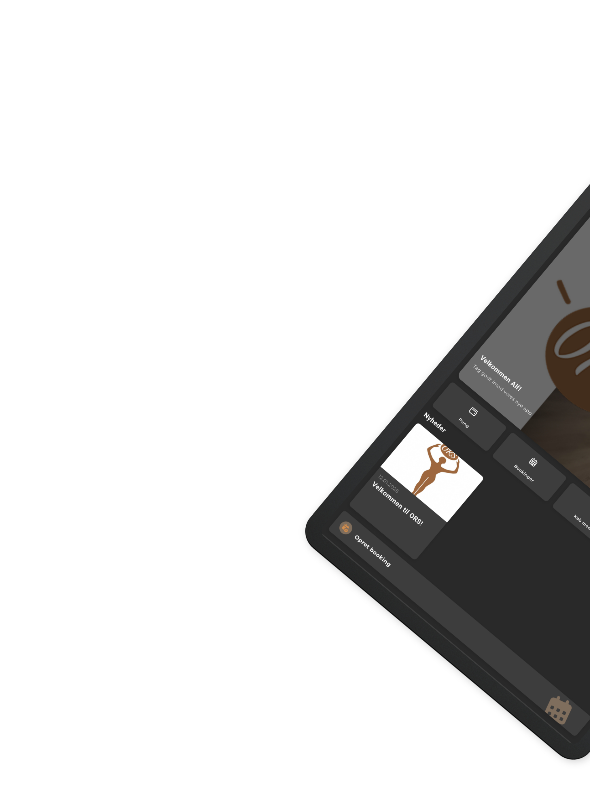 ORS screenshot 8