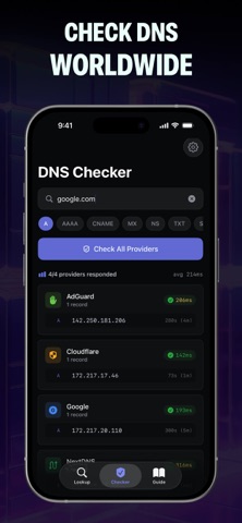 DNS Resolver Pro screenshot