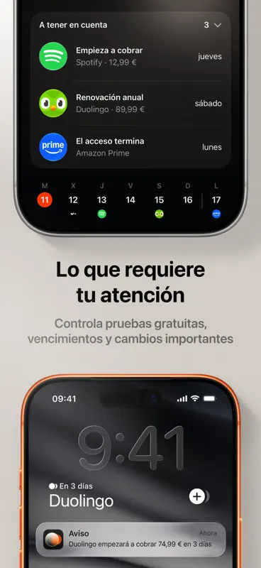Subo: Control de suscripciones screenshot 4 of 7