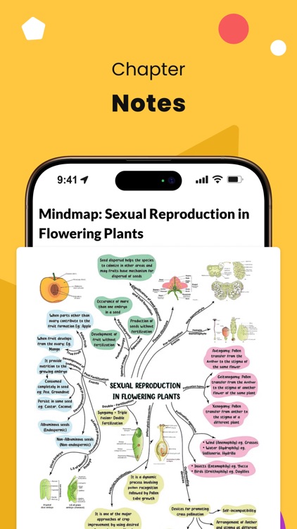 NEET Exam Prep & Mock Tests