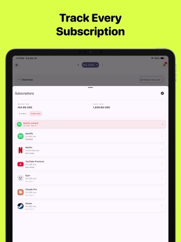 AI Budget Manager - WalletGPT iPad screenshot