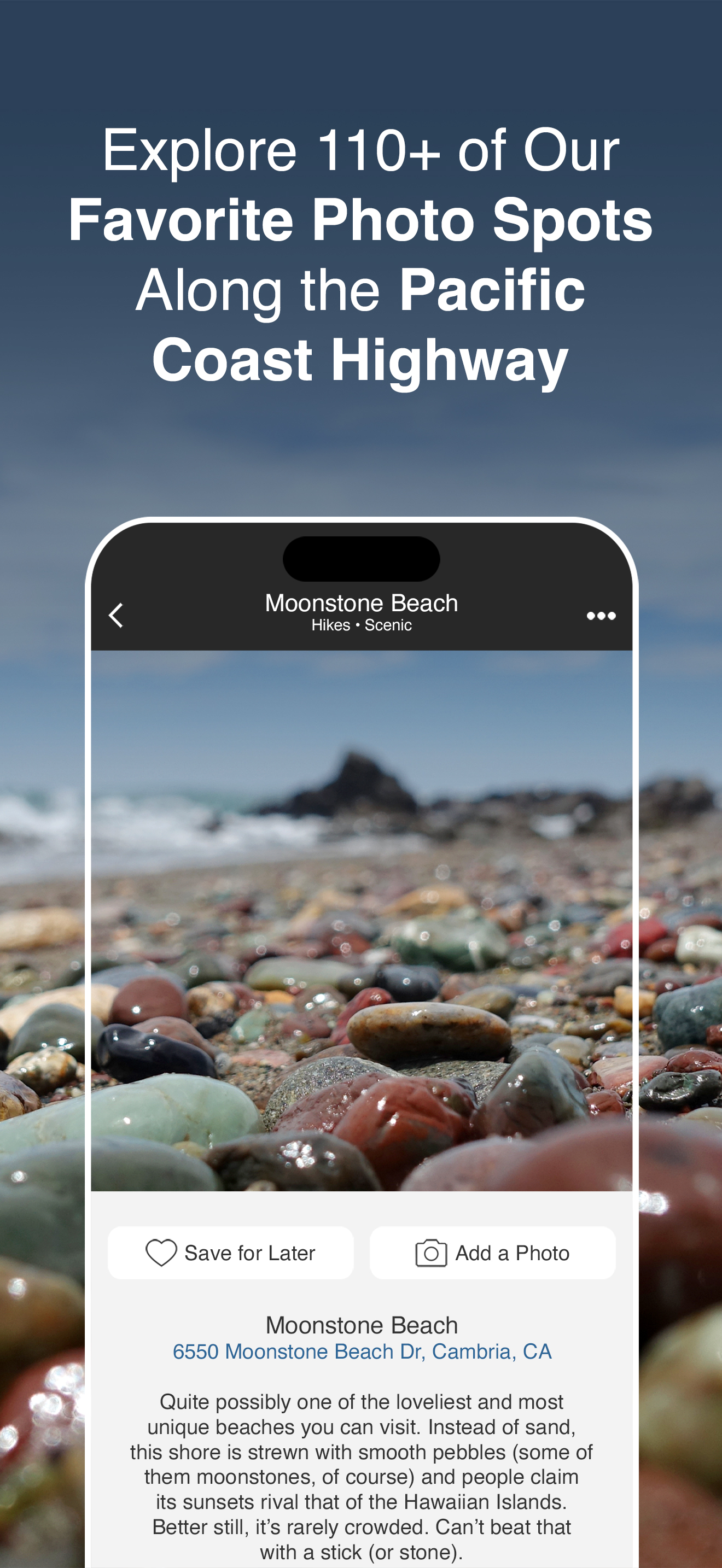 Pacific Coast Highway Guide
