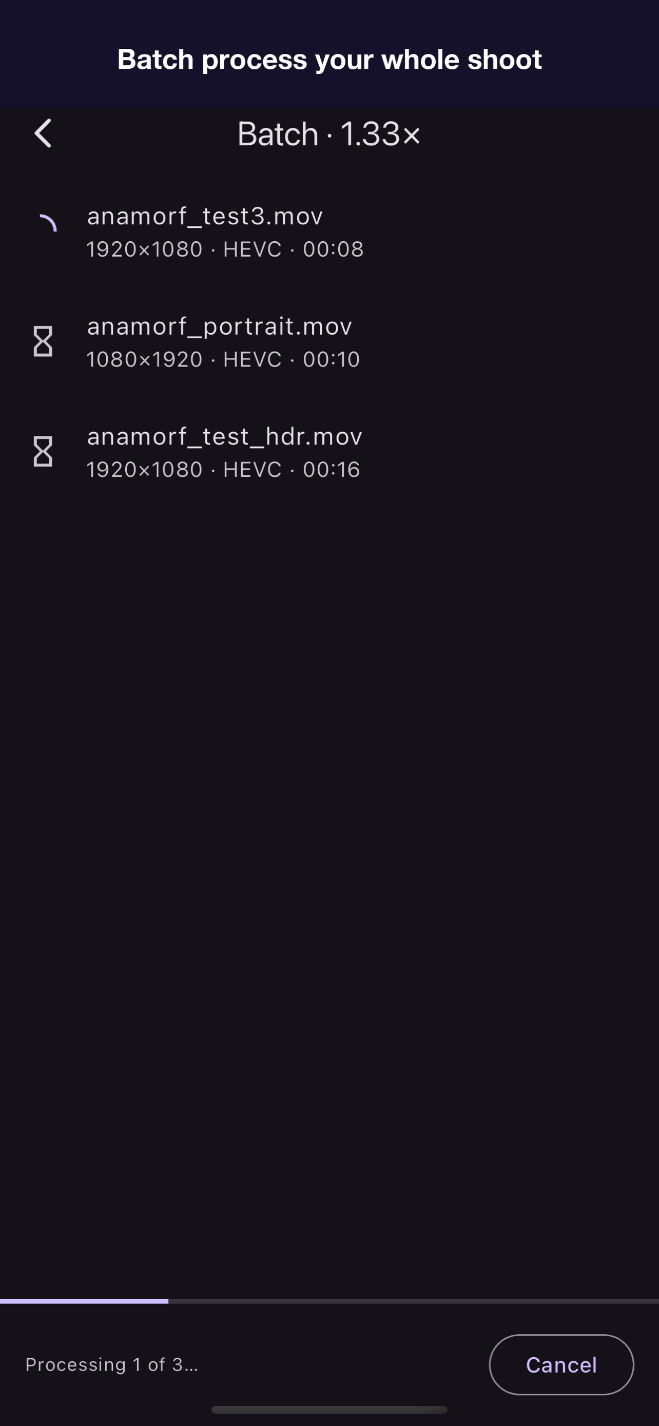 Anamorf - Desqueeze Video screenshot 8