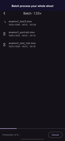 Anamorf - Desqueeze Video screenshot
