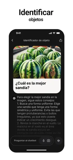 Captura de pantalla de Chatbot App - Asistente De IA en iPhone 6