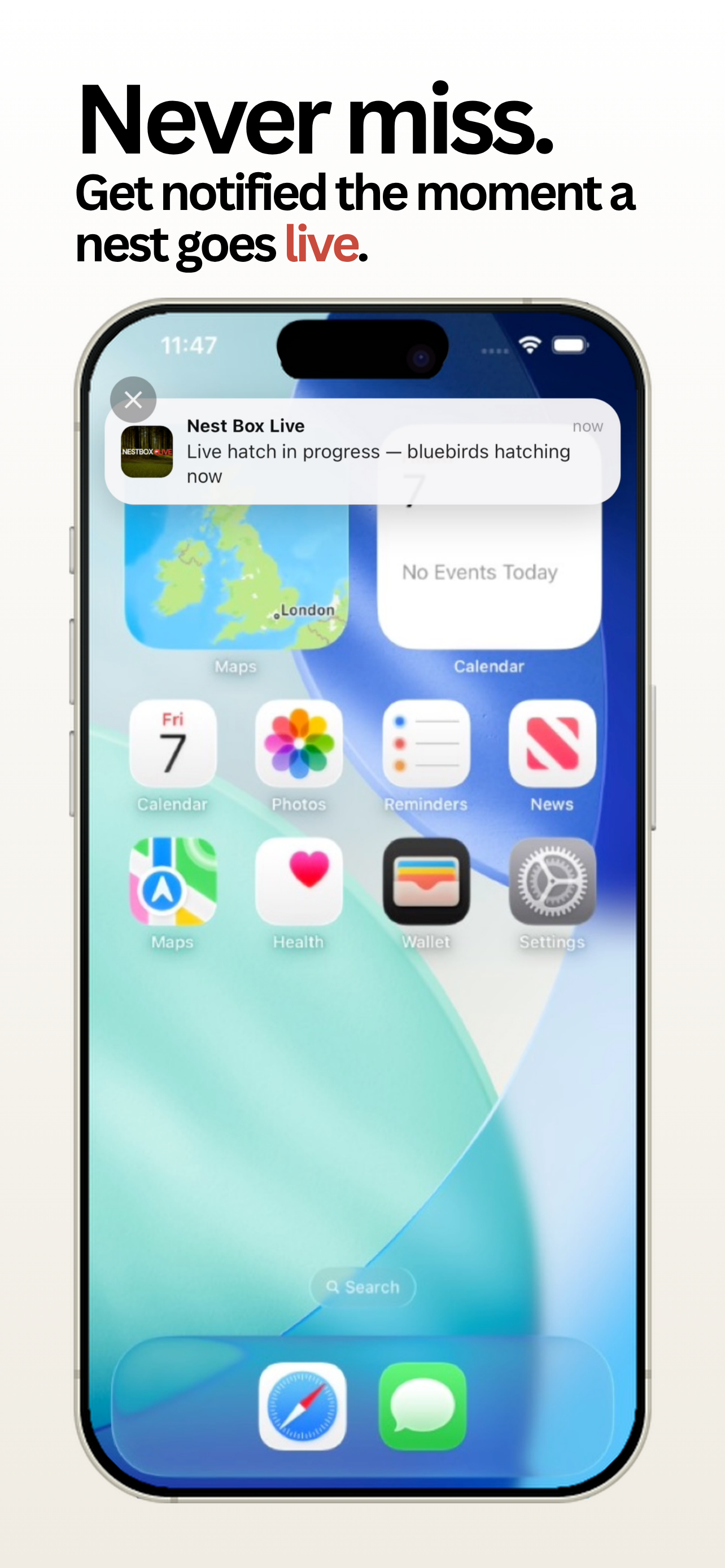Nest Box Live screenshot 6