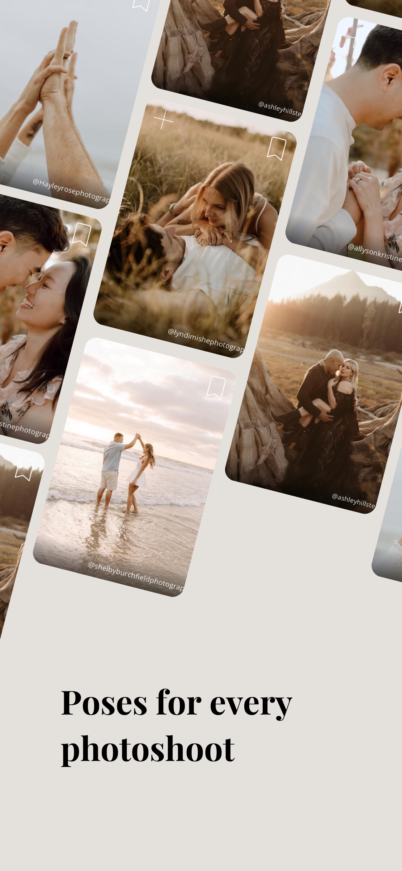 DandyLight for Photographers