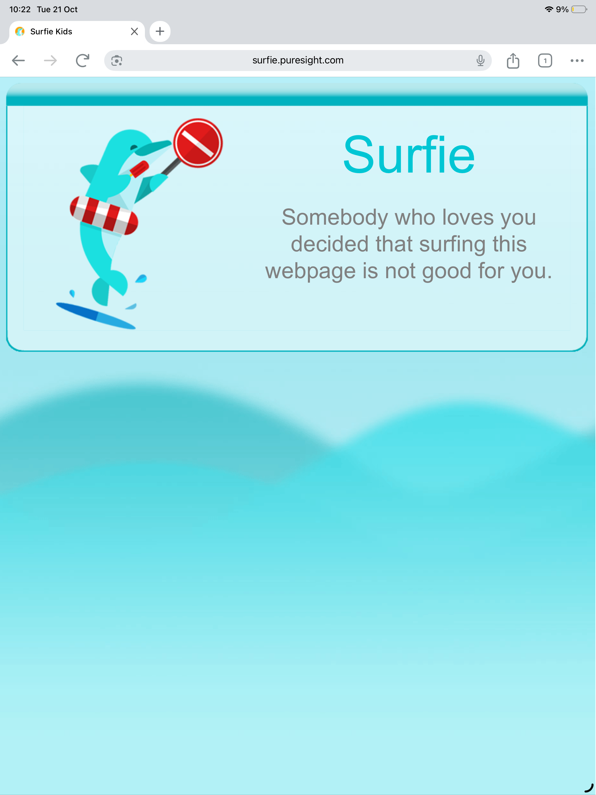 Surfie-Guard
