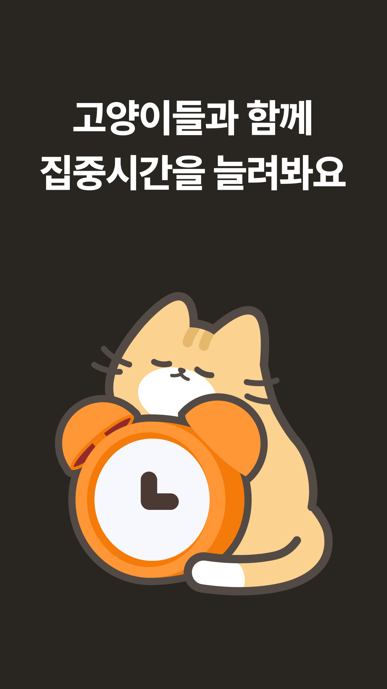 모하냥